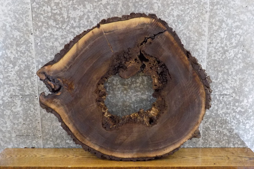 Round Cut Live Edge Black Walnut Table Top/Epoxy Project Slab 20840