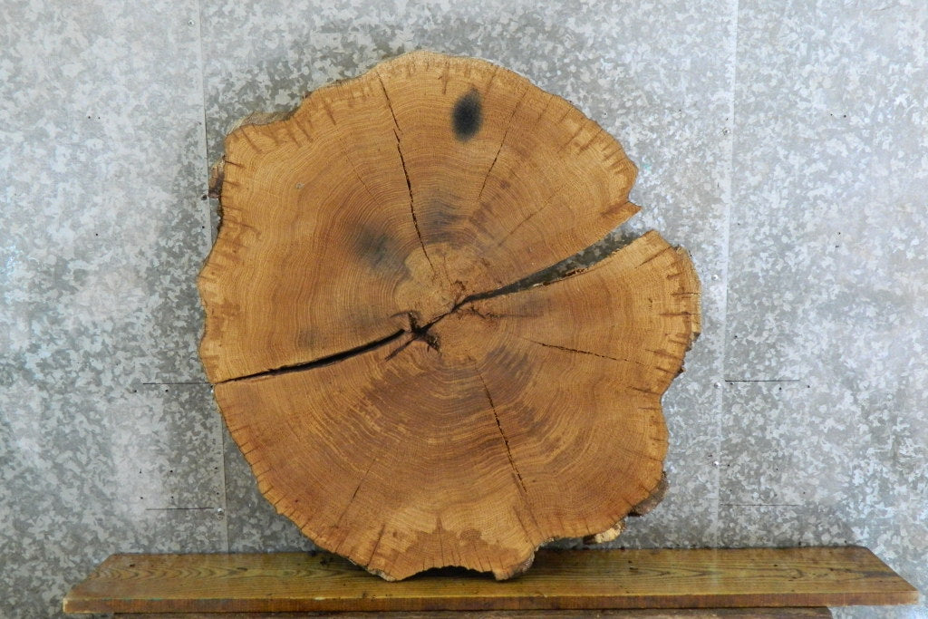 2- Round Cut White Oak Split Board/Table Top Slabs CLOSEOUT 20841