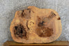 Thumbnail for Oval Cut Live Edge Ash Coffee Table Top Slab CLOSEOUT 20842