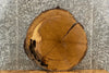 Thumbnail for Live Edge White Oak Circle Cut Slab, Round Wood Tree Slice 20843