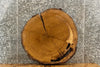 Thumbnail for Live Edge White Oak Circle Cut Slab, Round Wood Tree Slice 20843