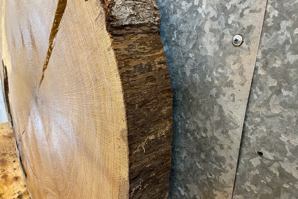 Live Edge White Oak Circle Cut Slab, Round Wood Tree Slice 20843