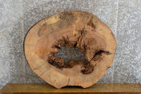 Thumbnail for Round Cut Ash Live Edge Epoxy Project/Table Top Slab CLOSEOUT 20845