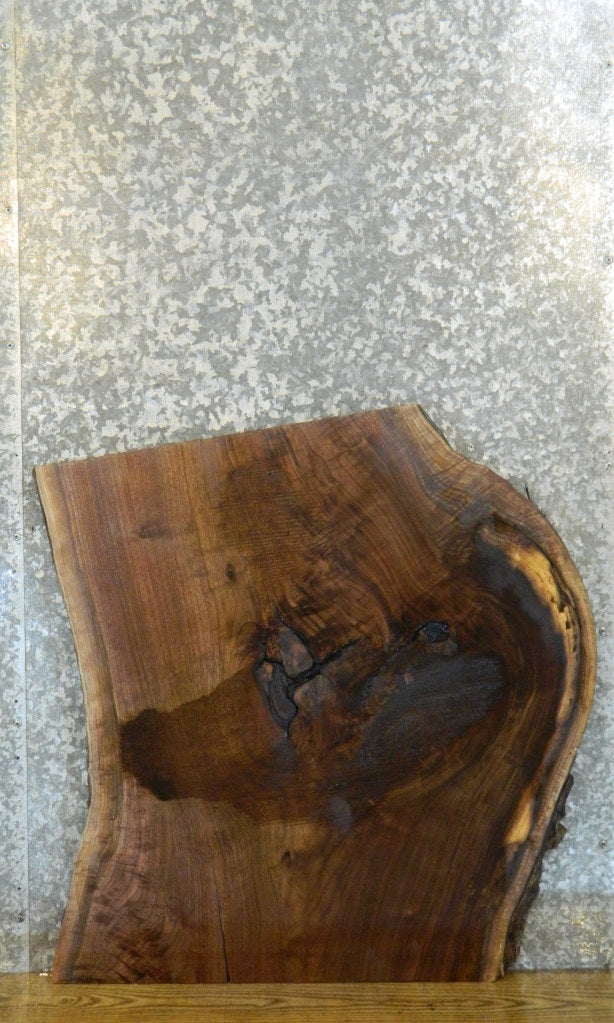 Natural Edge Black Walnut Sofa Table Top Slab 20846