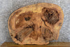 Thumbnail for Live Edge Ash Oval Cut Rustic Sofa/Coffee Table Slab CLOSEOUT 20847