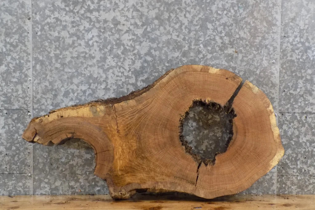 Rustic Live Edge White Oak Coffee Table/Epoxy Project Slab 20848