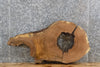 Thumbnail for Rustic Live Edge White Oak Coffee Table/Epoxy Project Slab 20848