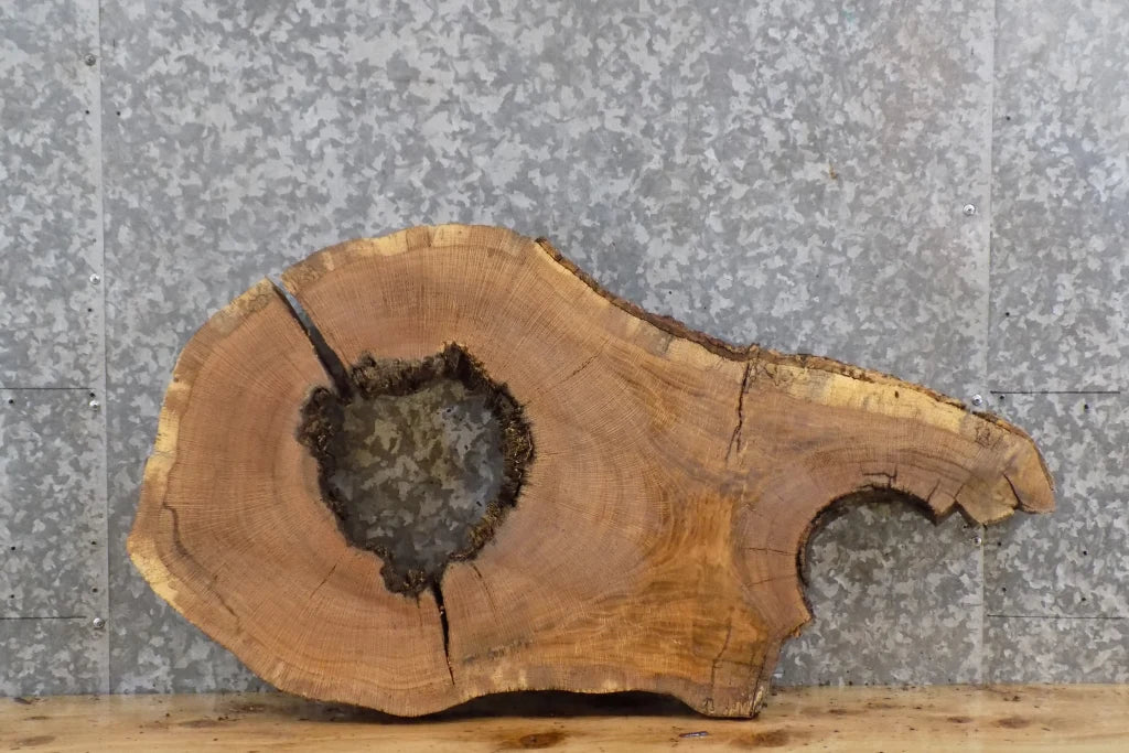 Rustic Live Edge White Oak Coffee Table/Epoxy Project Slab 20848