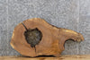 Thumbnail for Rustic Live Edge White Oak Coffee Table/Epoxy Project Slab 20848