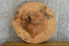 Thumbnail for Live Edge Ash Round Cut Sofa/Coffee Table Top Slab CLOSEOUT 20854