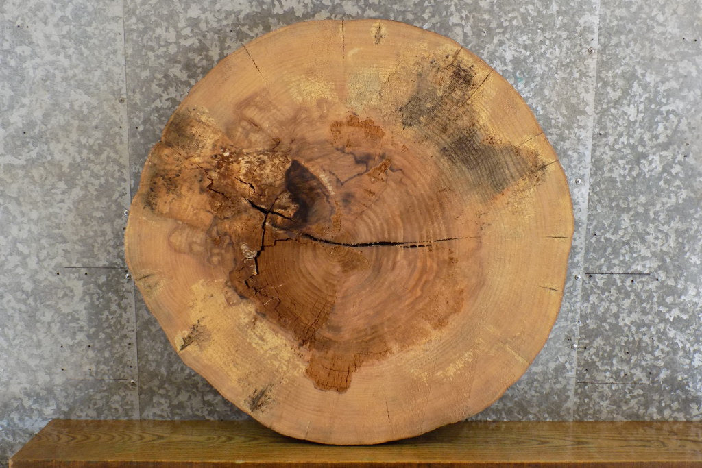 Live Edge Ash Round Cut Sofa/Coffee Table Top Slab CLOSEOUT 20854