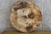Thumbnail for Live Edge Ash Round Cut Sofa/Coffee Table Top Slab CLOSEOUT 20854