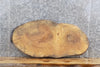 Thumbnail for Live Edge Oval Spalted Ash End/Coffee/Accent Table Top Slab 20863