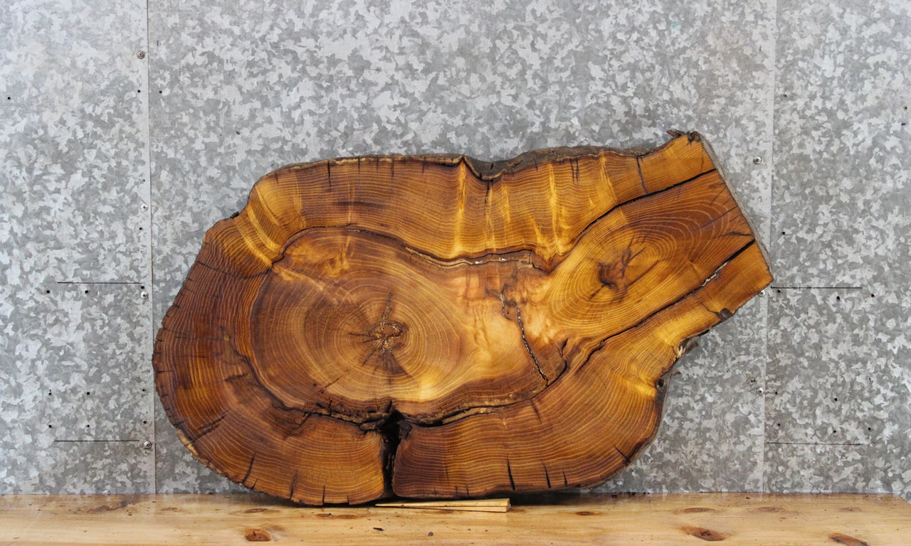 Live Edge Mulberry Slab, Circle Cut, Epoxy Project 20865