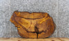 Thumbnail for Live Edge Mulberry Slab, Circle Cut, Epoxy Project 20865