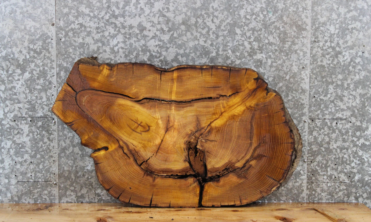 Live Edge Mulberry Slab, Circle Cut, Epoxy Project 20865