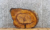 Thumbnail for Live Edge Mulberry Tree Slice, Wood Slab, Epoxy Project 20866