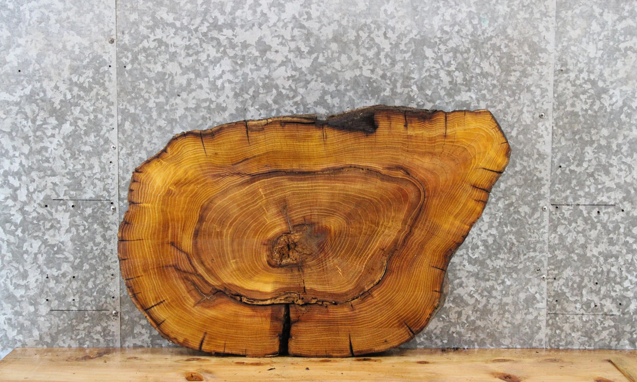 Live Edge Mulberry Tree Slice, Wood Slab, Epoxy Project 20866