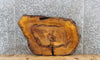 Thumbnail for Yellow Mulberry Live Edge Tree Slice, Wood Slab Epoxy Project 20867