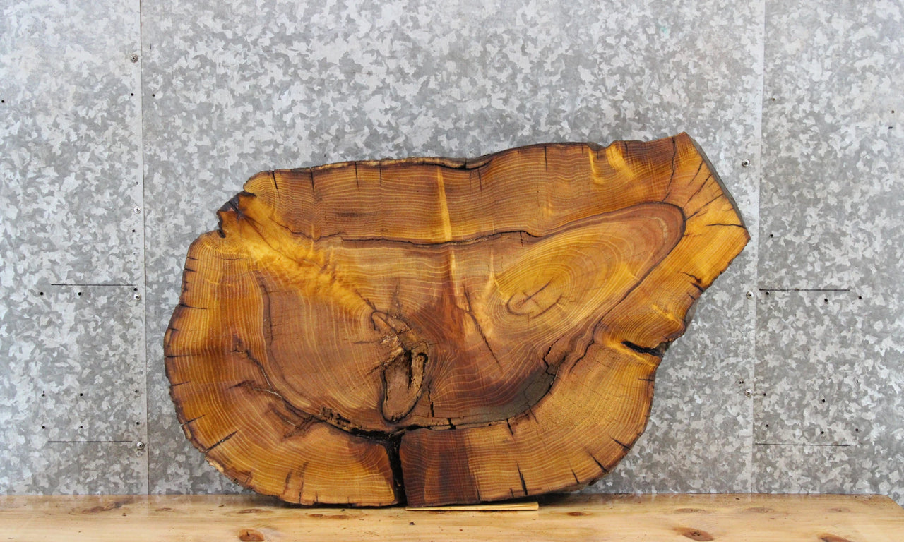 Yellow Mulberry Live Edge Tree Slice, Wood Slab Epoxy Project 20867