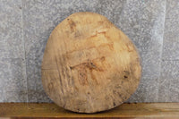 Thumbnail for Round Cut Reclaimed Live Edge Ash Accent/Side Table Top Slab 20881