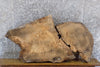 Thumbnail for 2- Live Edge Ash Oval Cut Table Top/Split Board Slabs CLOSEOUT 20893