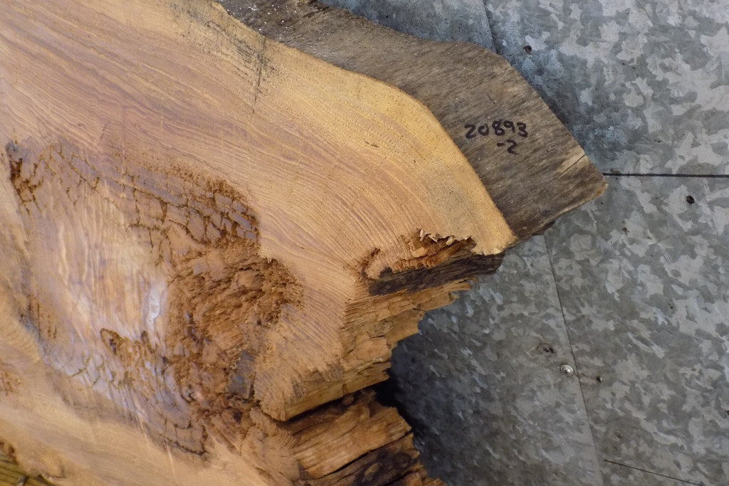 2- Live Edge Ash Oval Cut Table Top/Split Board Slabs CLOSEOUT 20893