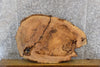 Thumbnail for 2- Oval Cut Live Edge Ash Table Top/Split Board Slabs 20895