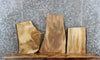Thumbnail for 3- Spalted Maple Live Edge Taxidermy Mount/End Table Tops 216-218