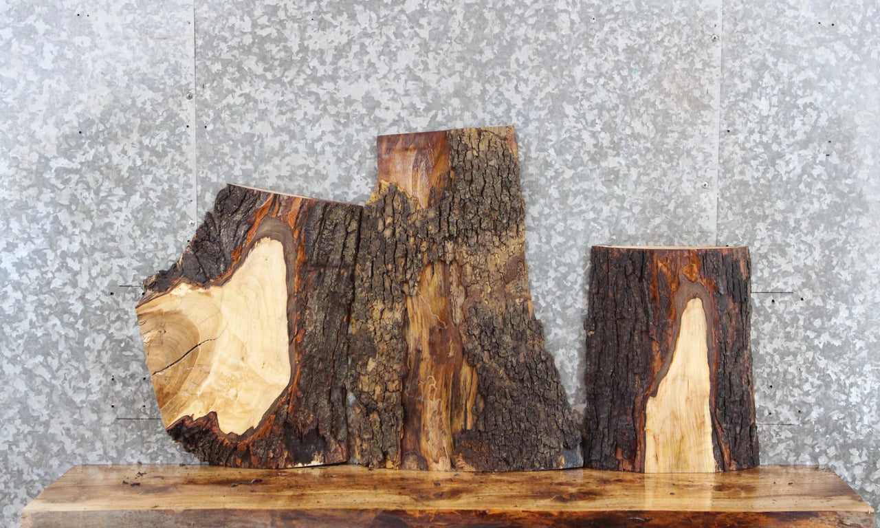3- Spalted Maple Live Edge Taxidermy Mount/End Table Tops 216-218