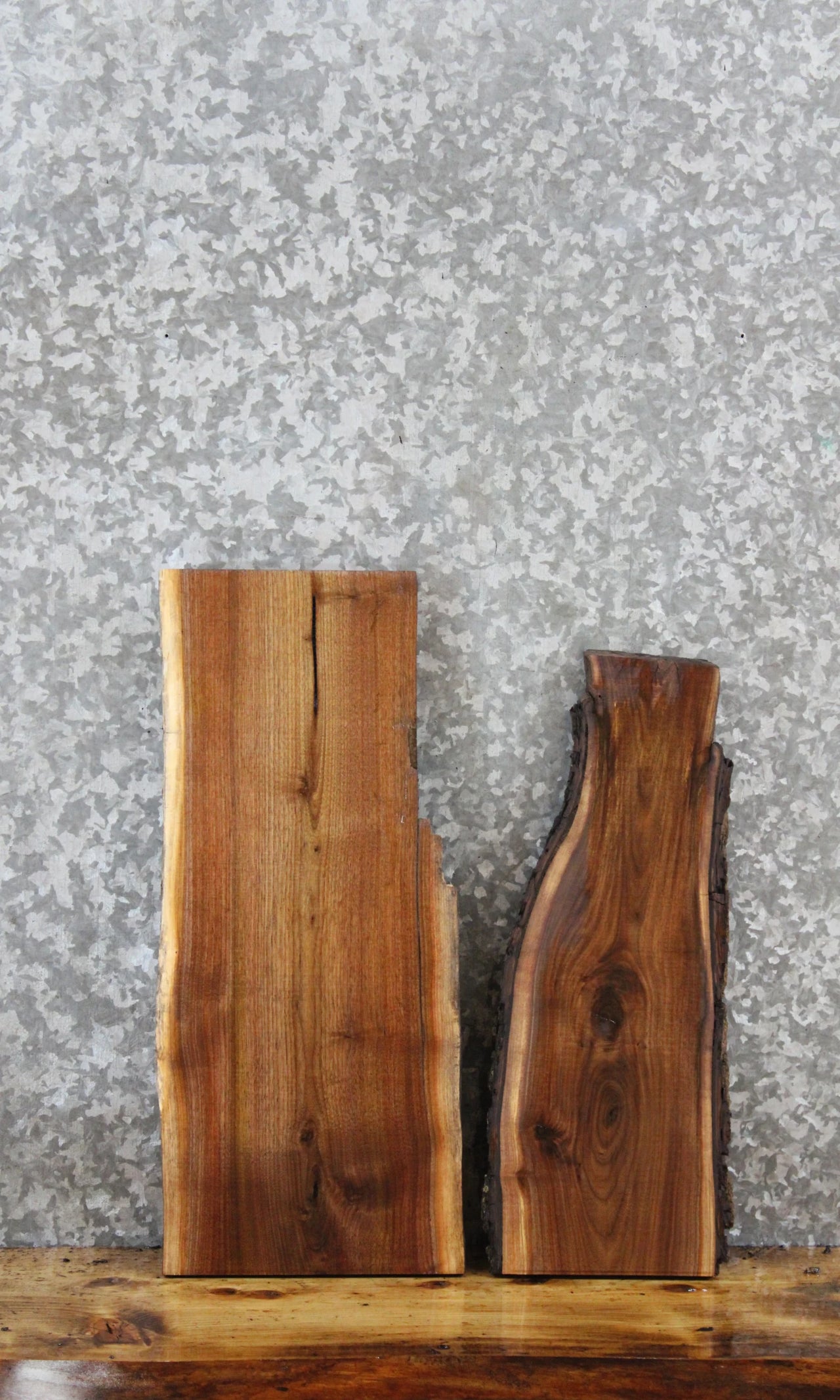 2- Walnut Live Edge Charcuterie/Taxidermy Slabs 219-220