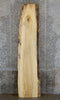 Thumbnail for Live Edge Maple Bar/Table Top/Headboard Slab CLOSEOUT 21