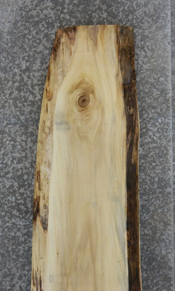 Live Edge Maple Bar/Table Top/Headboard Slab CLOSEOUT 21