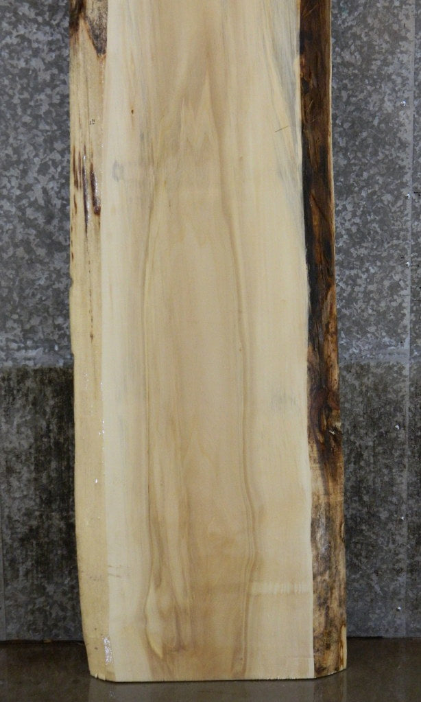 Live Edge Maple Bar/Table Top/Headboard Slab CLOSEOUT 21