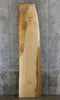 Thumbnail for Live Edge Maple Bar/Table Top/Headboard Slab CLOSEOUT 21