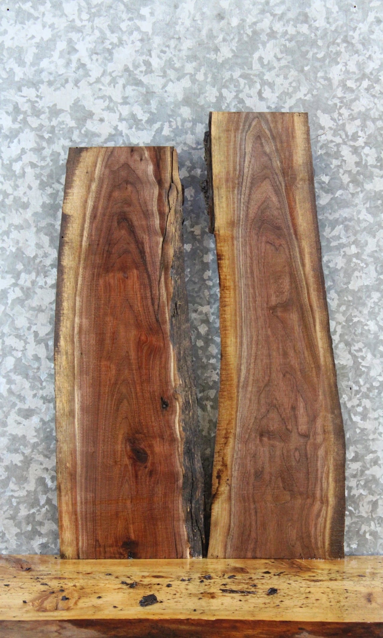 2- Live Edge Black Walnut Charcuterie Board/Taxidermy Mount Slabs 221-222