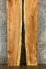 Thumbnail for 2- Live Edge Maple DIY Dining Room Table/Desk Set, Oval Shaped 23-24