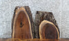 Thumbnail for 2- Live Edge Black Walnut End Table Slabs/Charcuterie Boards 231-232