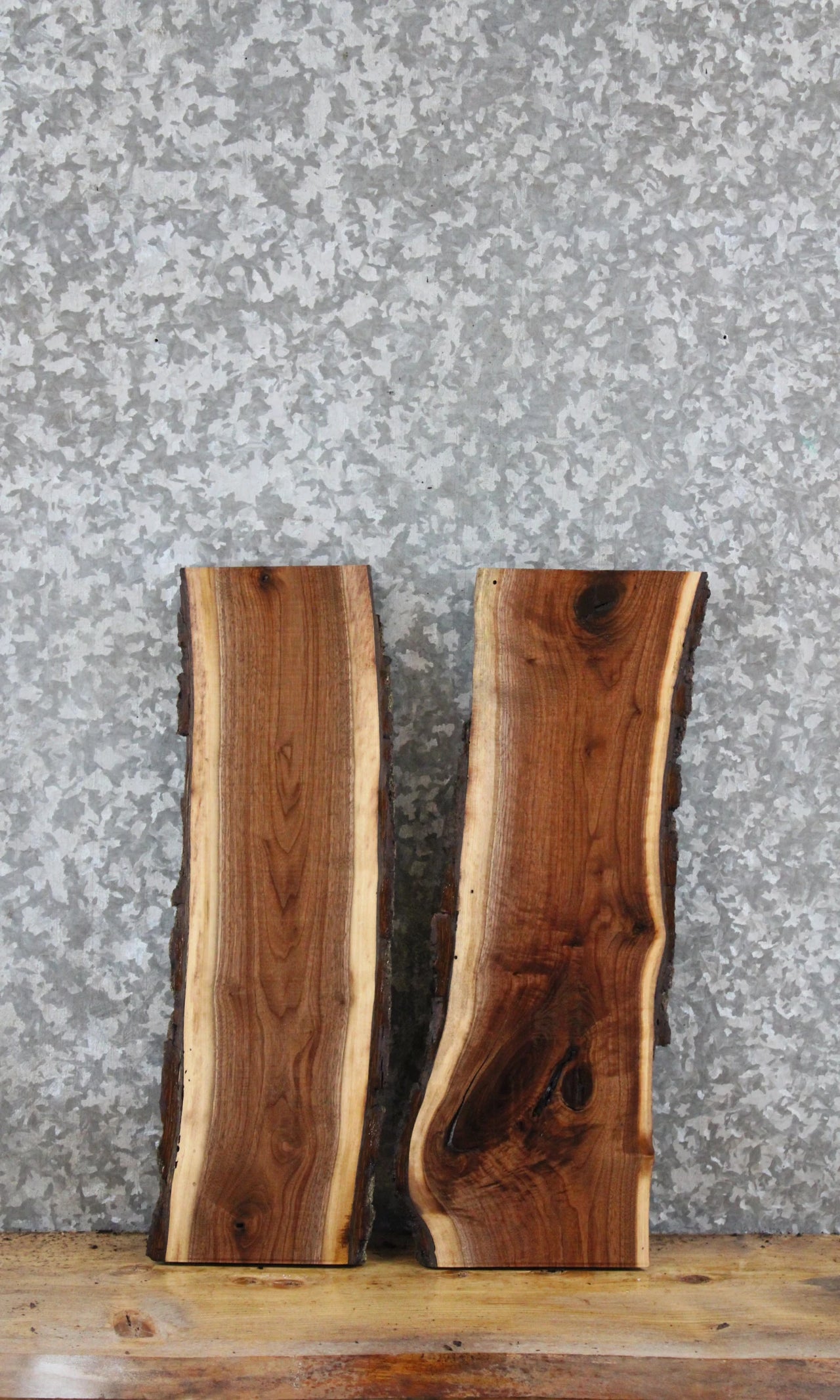 2- Walnut Live Edge Charcuterie/Taxidermy Slabs 231-232