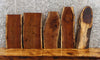 Thumbnail for 5- Live Edge Black Walnut Charcuterie/Floating Shelf Slabs 233-237