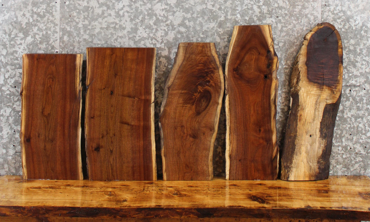 5- Live Edge Black Walnut Charcuterie/Floating Shelf Slabs 233-237