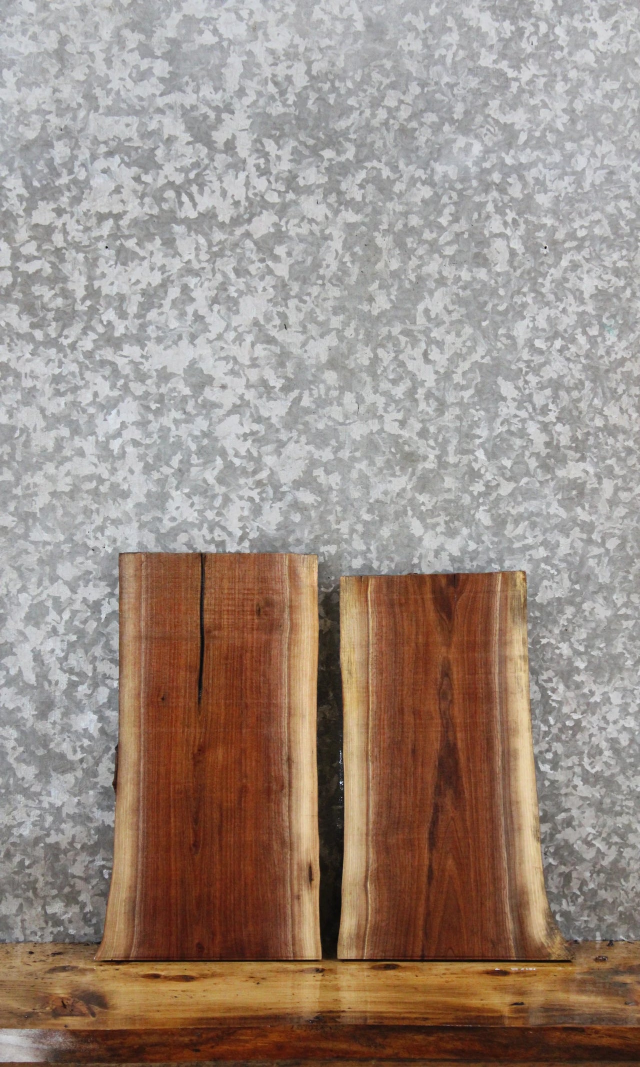 2- Walnut Live Edge Charcuterie/Taxidermy Slabs 248-249