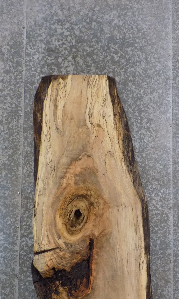 Live Edge Salvaged Spalted Maple Reception Table 261