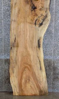Thumbnail for Live Edge Salvaged Spalted Maple Reception Table CLOSEOUT 261