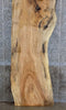 Thumbnail for Live Edge Salvaged Spalted Maple Reception Table 261