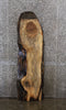 Thumbnail for Spalted Maple Live Edge Wood Slab, Coffee Table, Desk Top 278