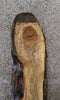 Thumbnail for Spalted Maple Live Edge Wood Slab, Coffee Table, Desk Top 278