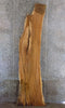 Thumbnail for Live Edge White Oak Bar/Table Top Wood Slab CLOSEOUT 279