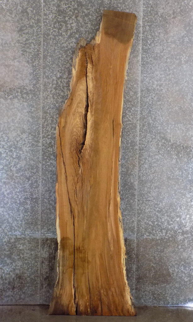 Live Edge White Oak Bar/Table Top Wood Slab CLOSEOUT 279