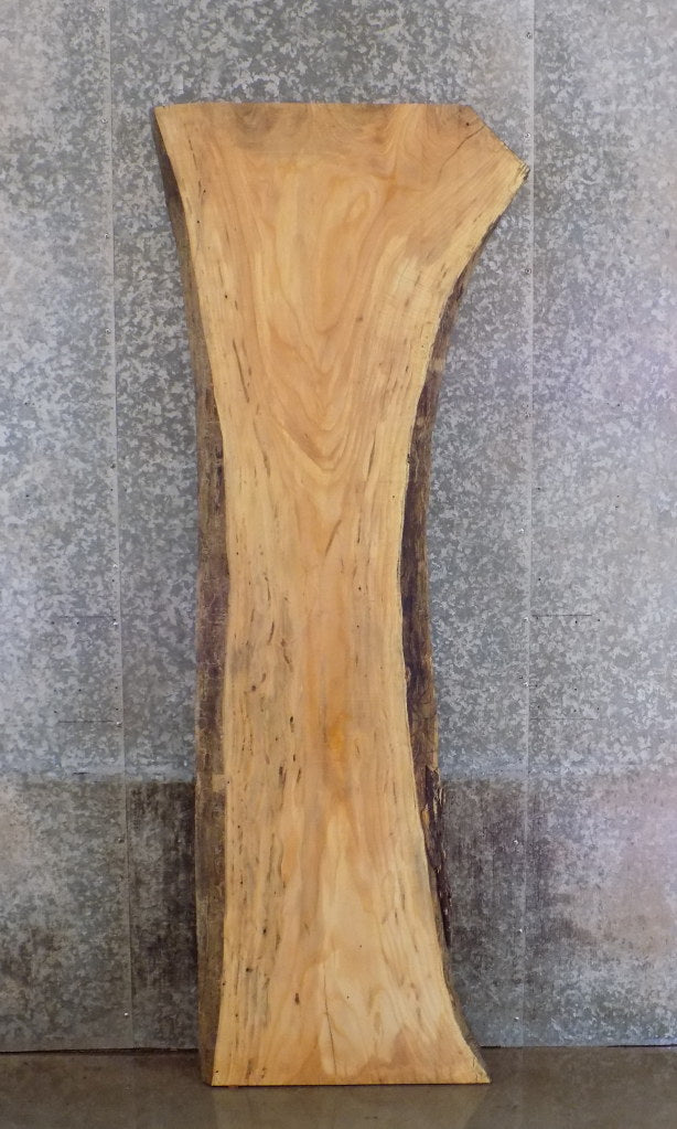 Live Edge Ash Reception Table/Bar Top Wood Slab CLOSEOUT 27